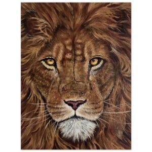 4a59cd41-7553-4b6a-8a58-12255db3ef02